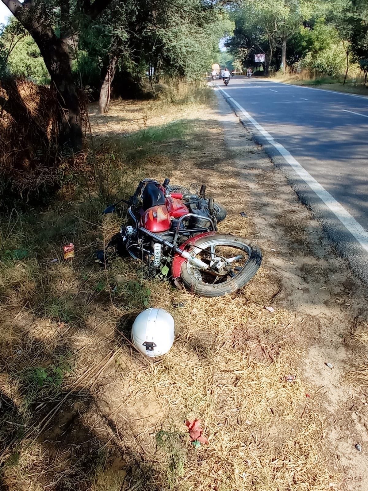 Outgoing sarpanch of Nangal Harnath dies in road accident
