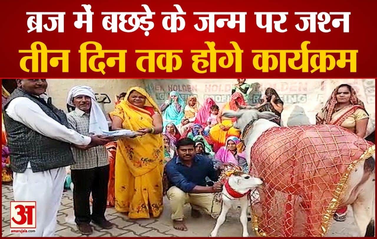 बछड़े का मनाया जन्मोत्सव