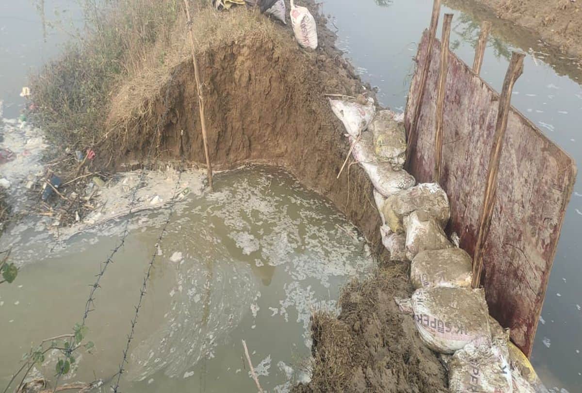 hundreds of bighas of crops submerged due to chambal canal break in agra