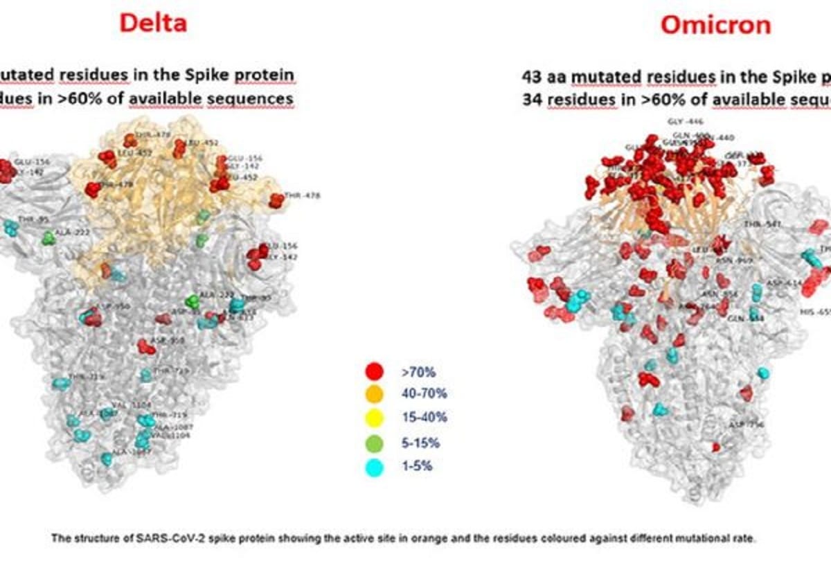 Omicron variant presents more mutations than corona delta variant, according to first image 
