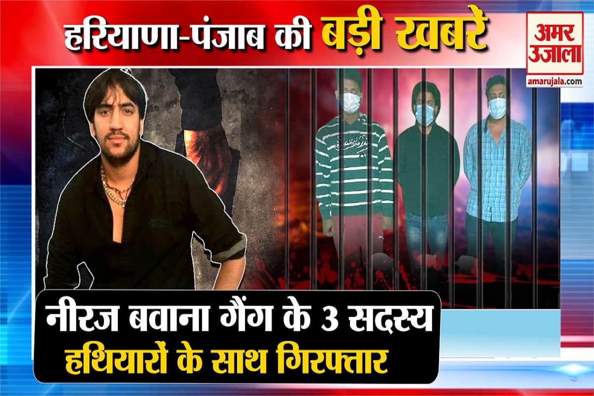 हरियाणा न्यूज