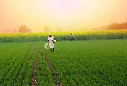 PM Kisan Samman Nidhi Yojana 11th installment will come in april complete your status Otherwise money will be stuck