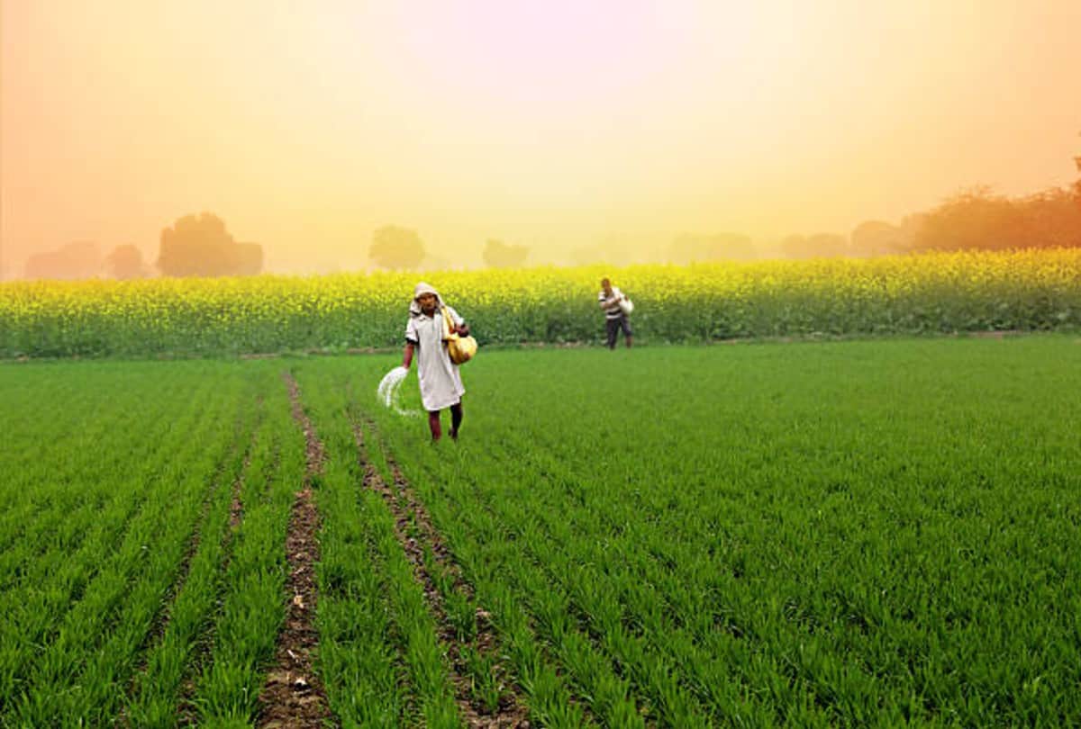Jharkhand aims at covering over 25 lakh farmers under KCC scheme by Mar 2023