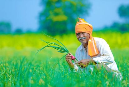 Kisan Credit Card Made By Farmers Will Solve Problem In Gorakhpur - Amar Ujala Hindi News Live - लापरवाही:किसानों का बने किसान क्रेडिट कार्ड तब दूर होगी समस्या, नहीं मिल पा रहा