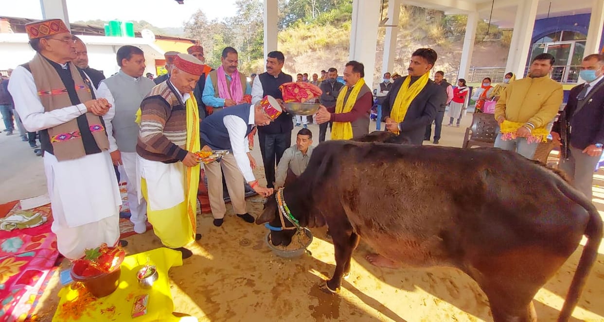 governer worship of cows in thanakala cowshed