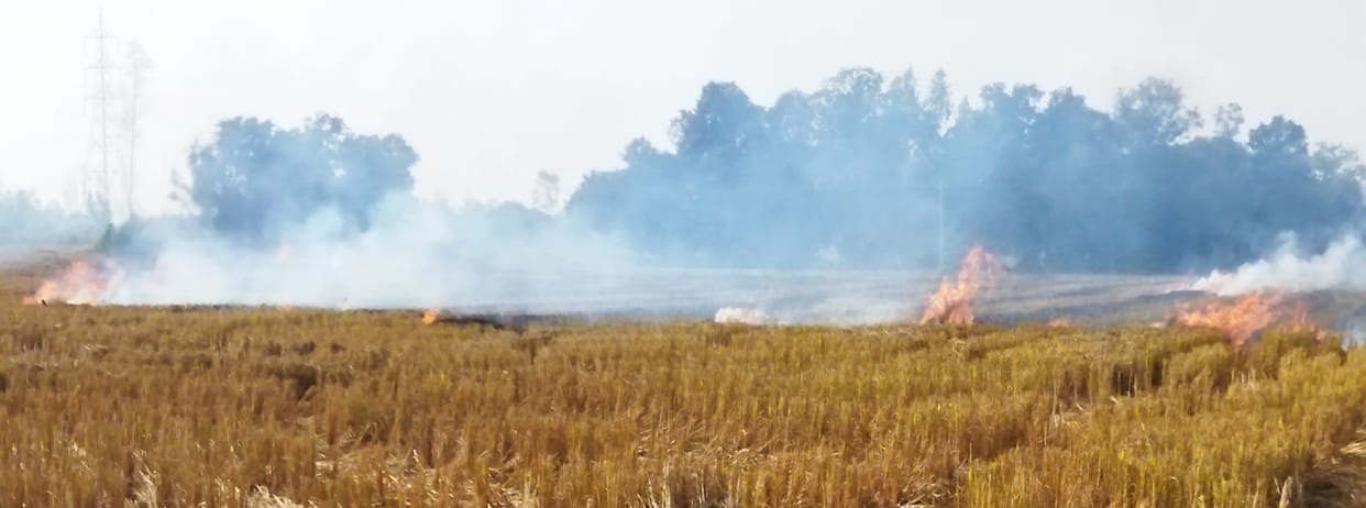 fathepur news,44 farmers who burn stubble will no longer have to pay fine