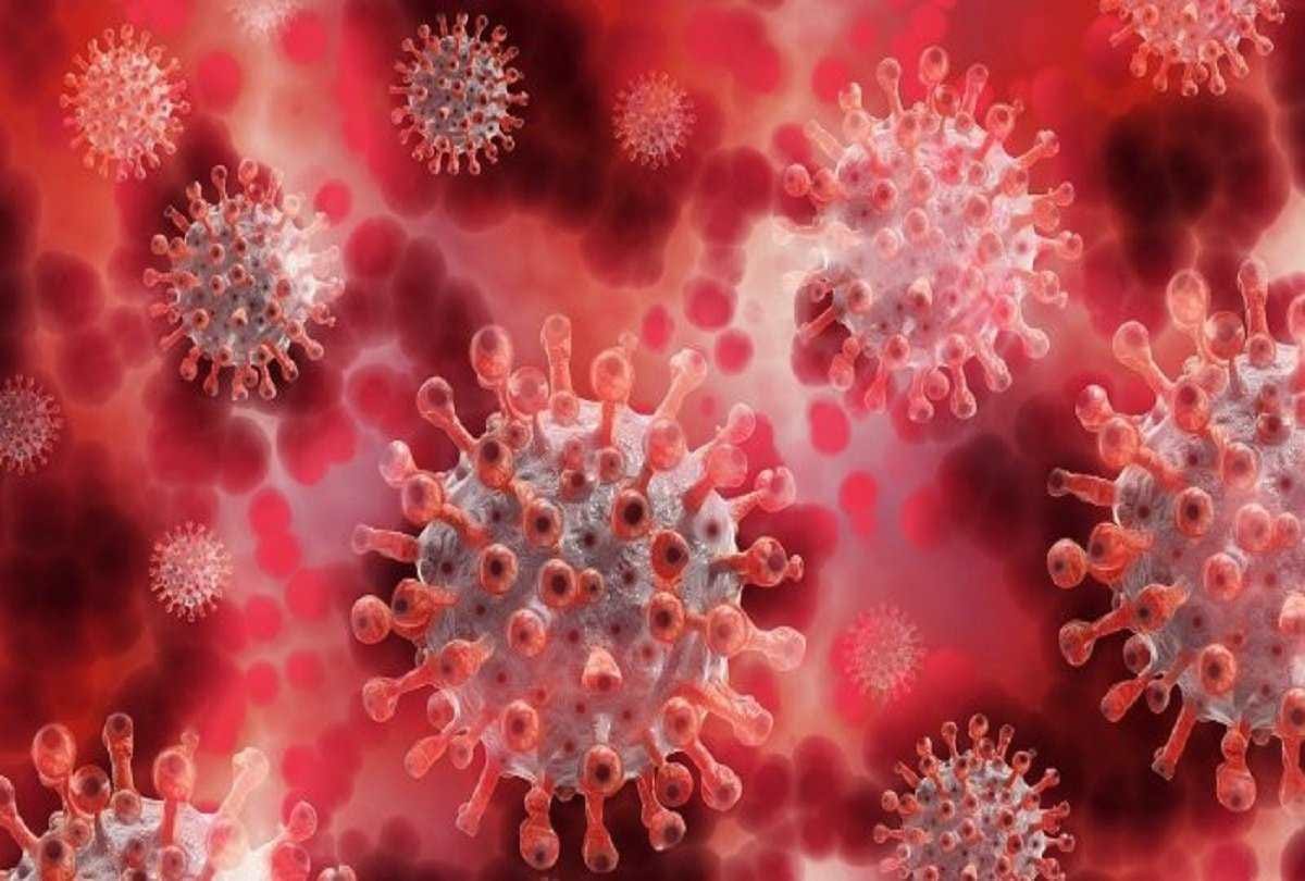 Omicron threat: 84 people returned from abroad, 10 red zones roamed, samples sent negative for genome sequencing