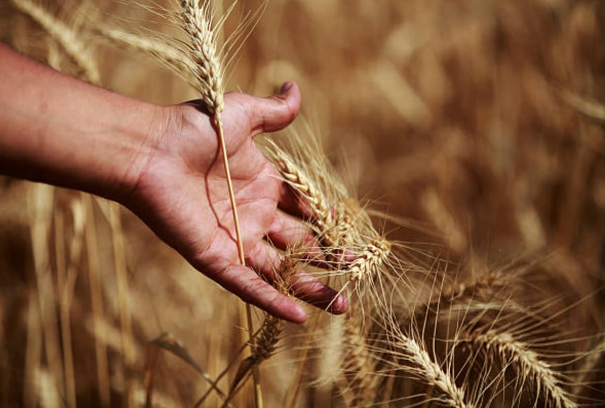 Farmers not getting crop insurance due to lack of information