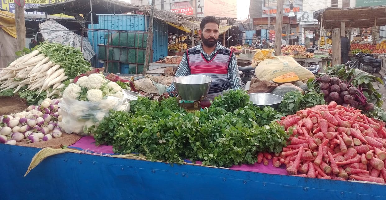 In the case of tomatoes, the tomatoes are firm and red in colour.