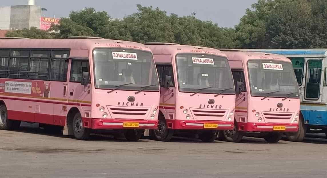 Five pink mini buses will run from December 4