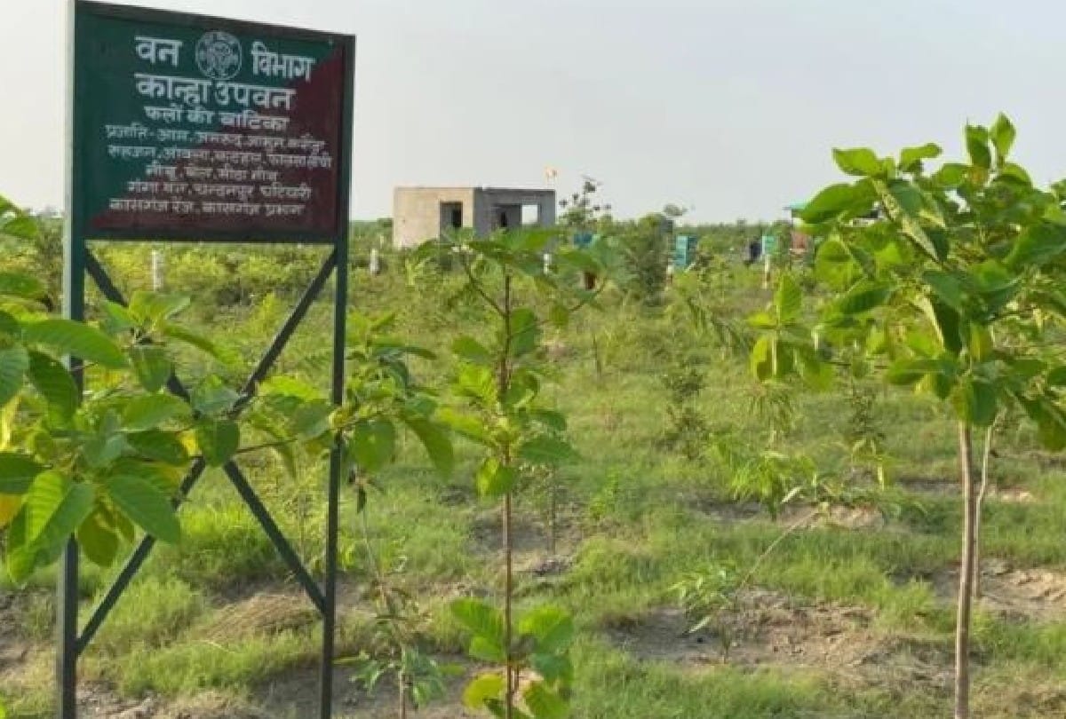 Deer In Bhagirathi and Gangavan Pada And Black Deer Species Kasganj News