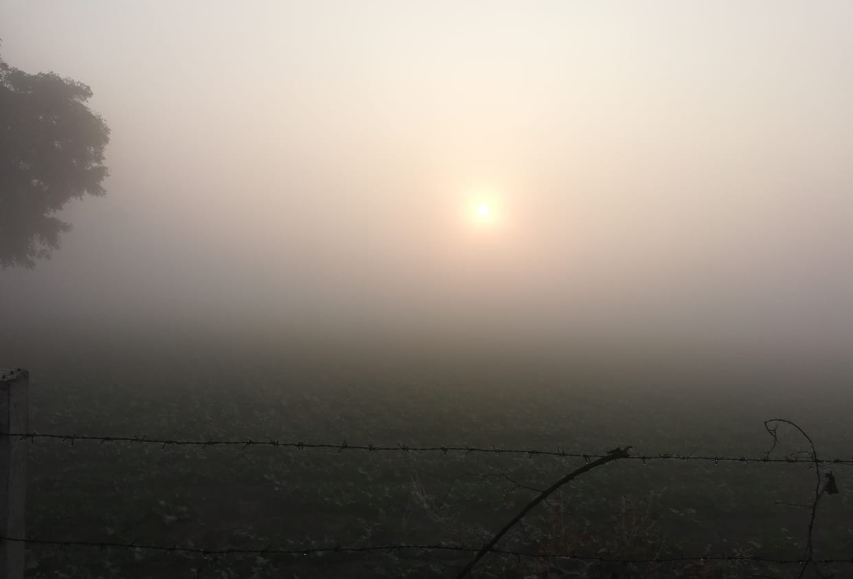 Haze knocked, beneficial for crops