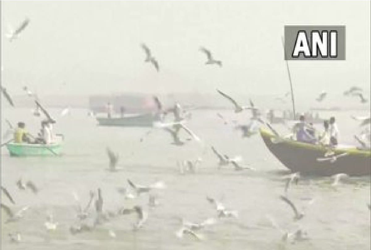 Siberian birds in Varanasi People are happy to see birds