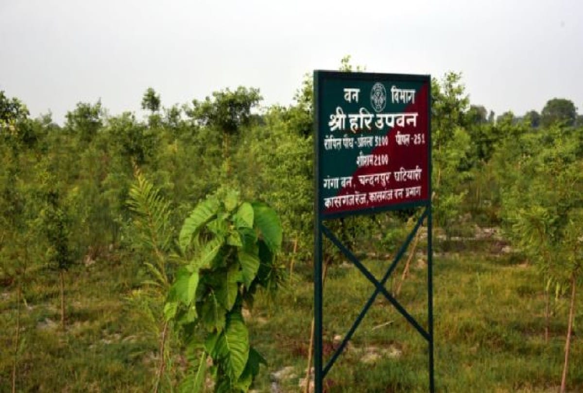 Deer In Bhagirathi and Gangavan Pada And Black Deer Species Kasganj News