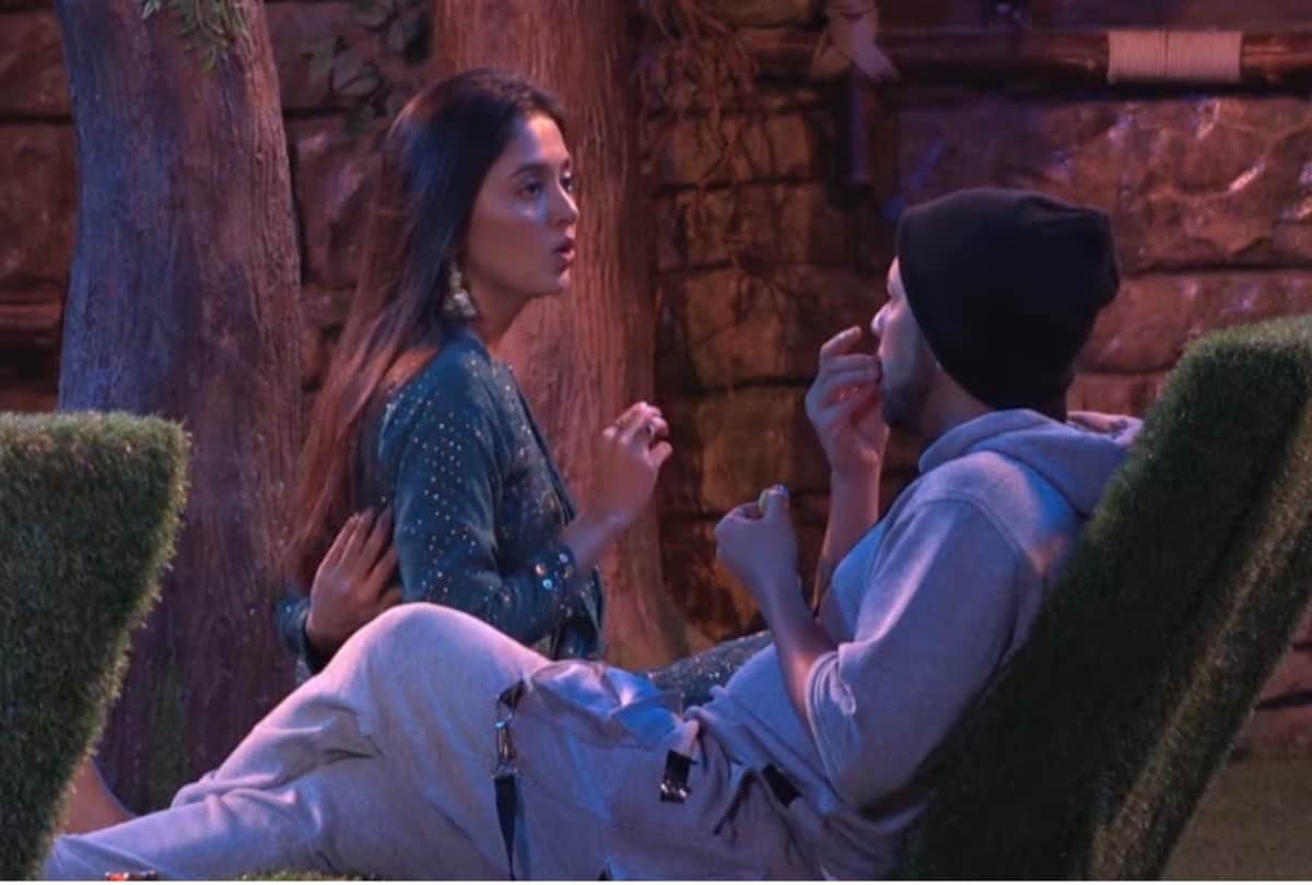 bigg boss 15 devoleena bhattacharjee disqualified umar riaz from price money task know details