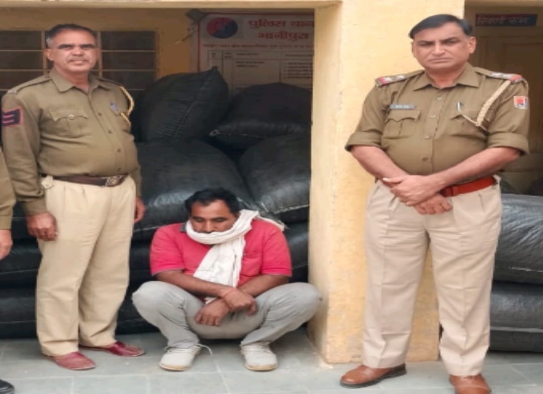 Rajasthan: Churu police seized 33 lakh Doda poppy truck in blockade, smuggler arrested