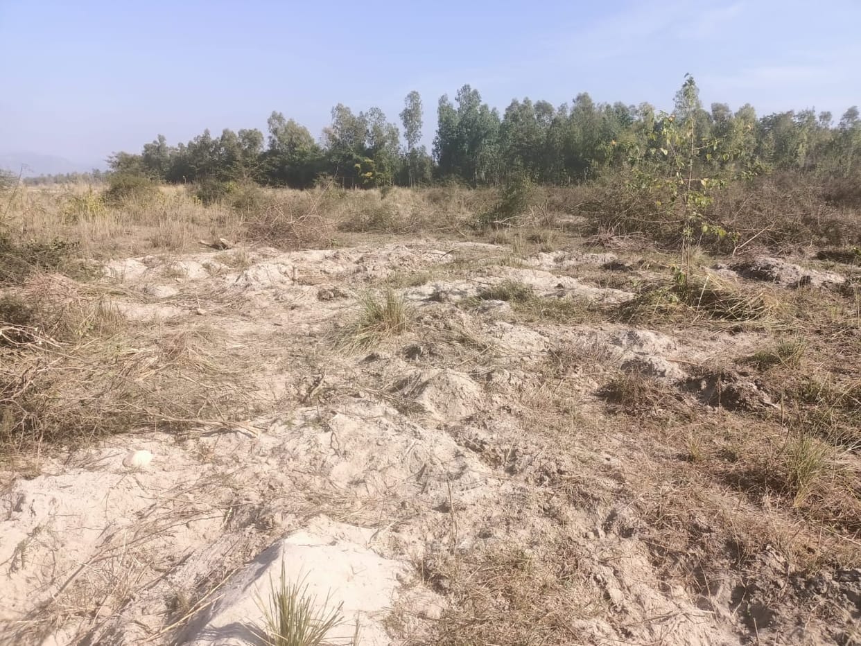 Cut 400-500 trees of Khair standing in the land of village society