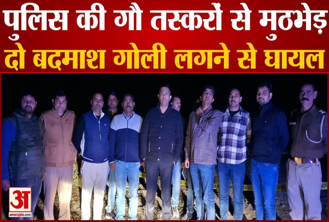 गो तस्कर पकड़े