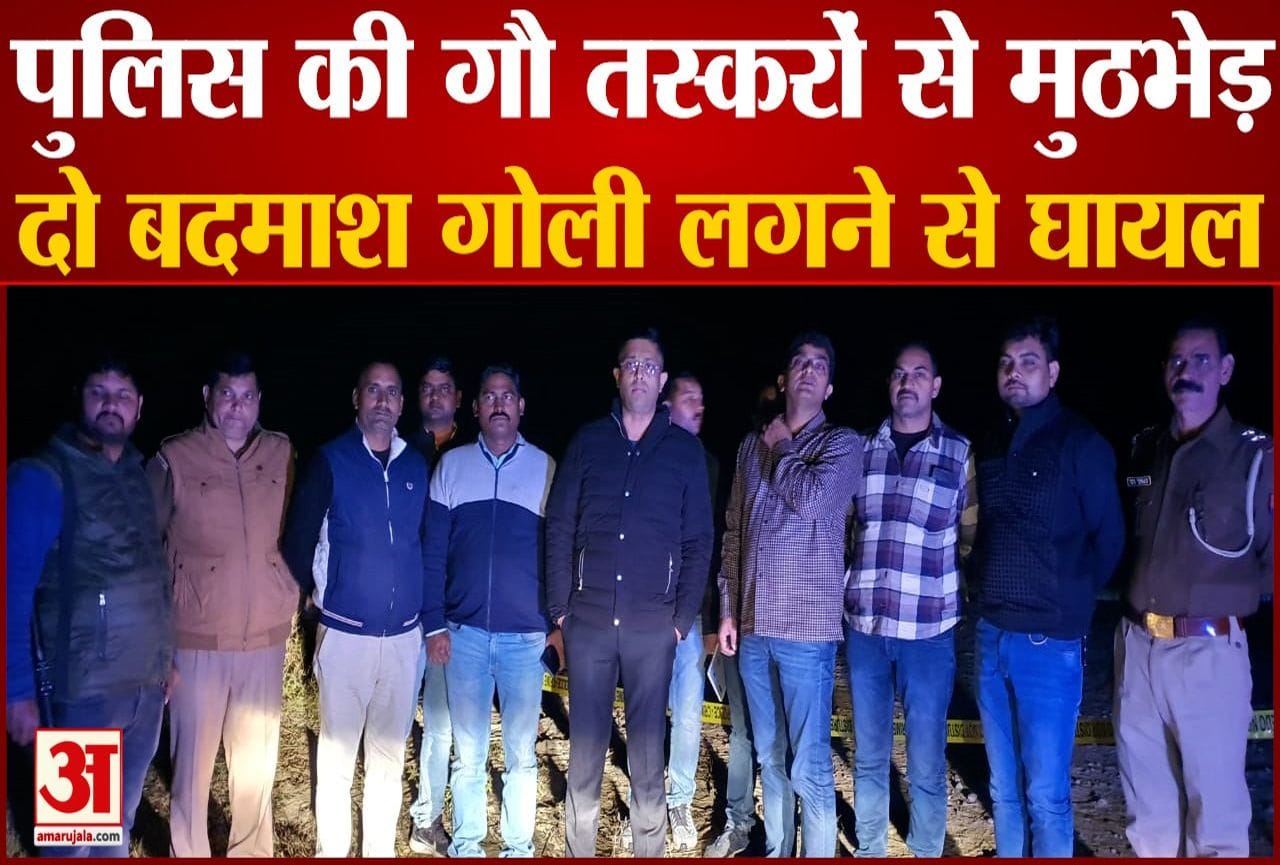 गो तस्कर पकड़े