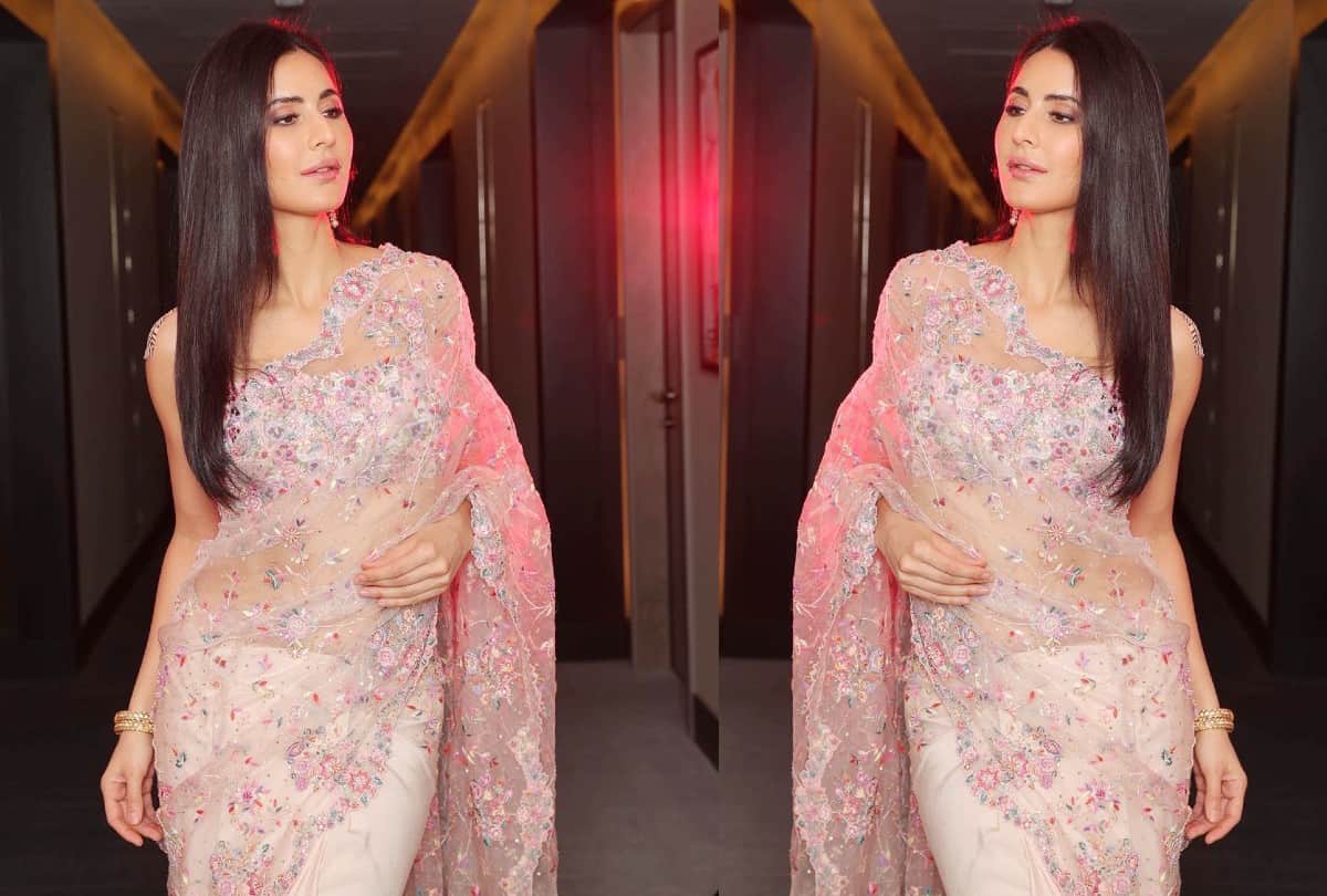katrina Kaif pink embroidered Saree Photos And Price