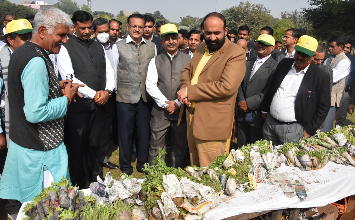 Flower Campaign: Rewari will be full of colorful flowers