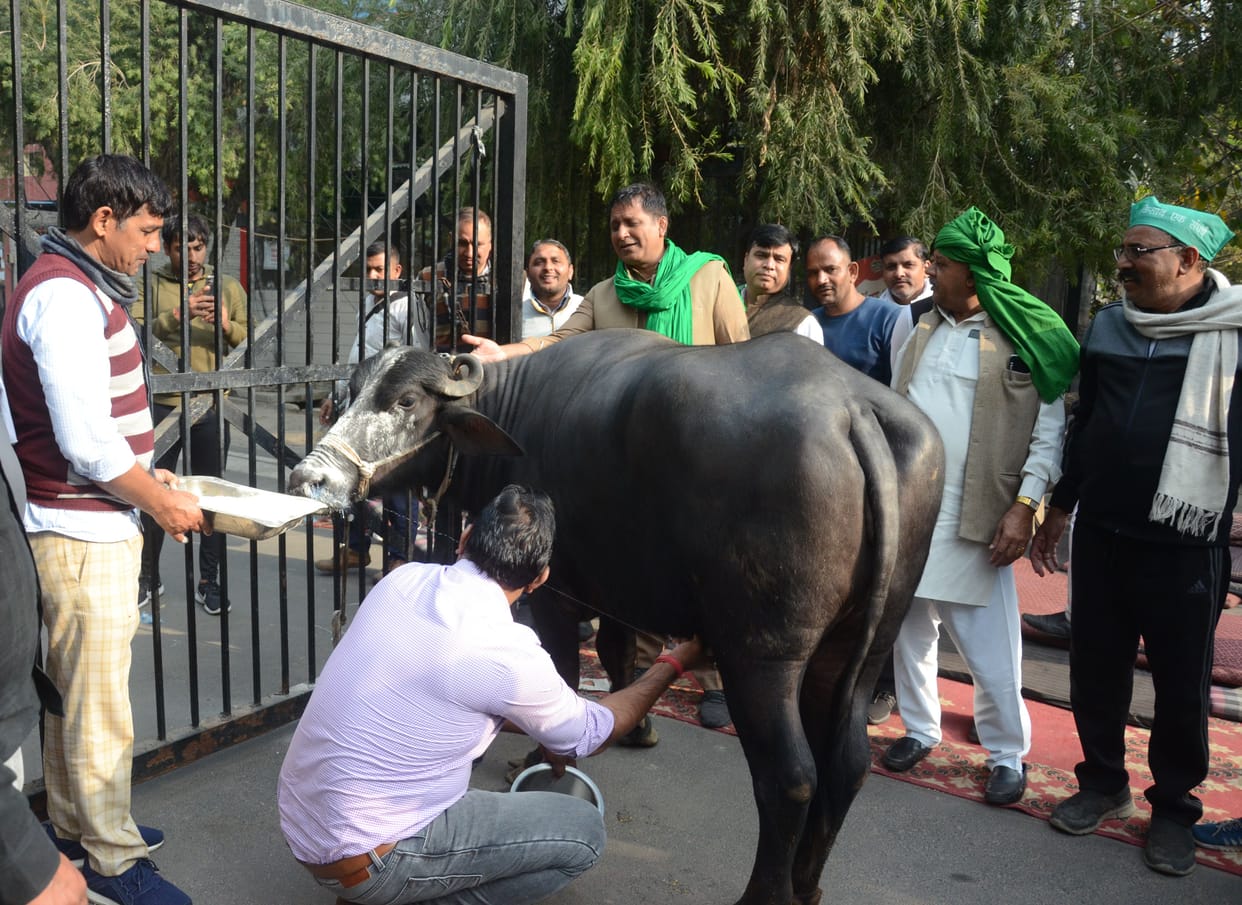 Farmers closed all gates of Noida Authority, clashed with police