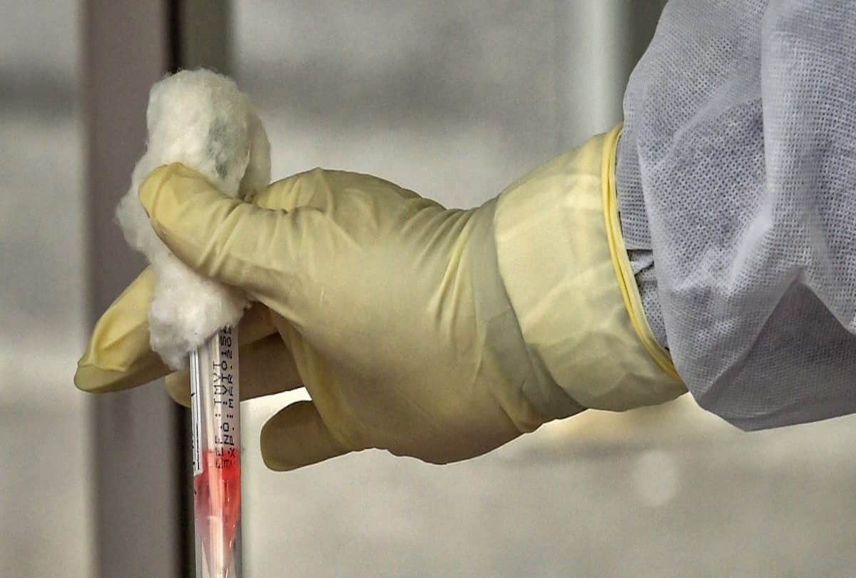 Hindi News Headlines 02 December Today: Important and big news stories of 02 December updates on Amar Ujala