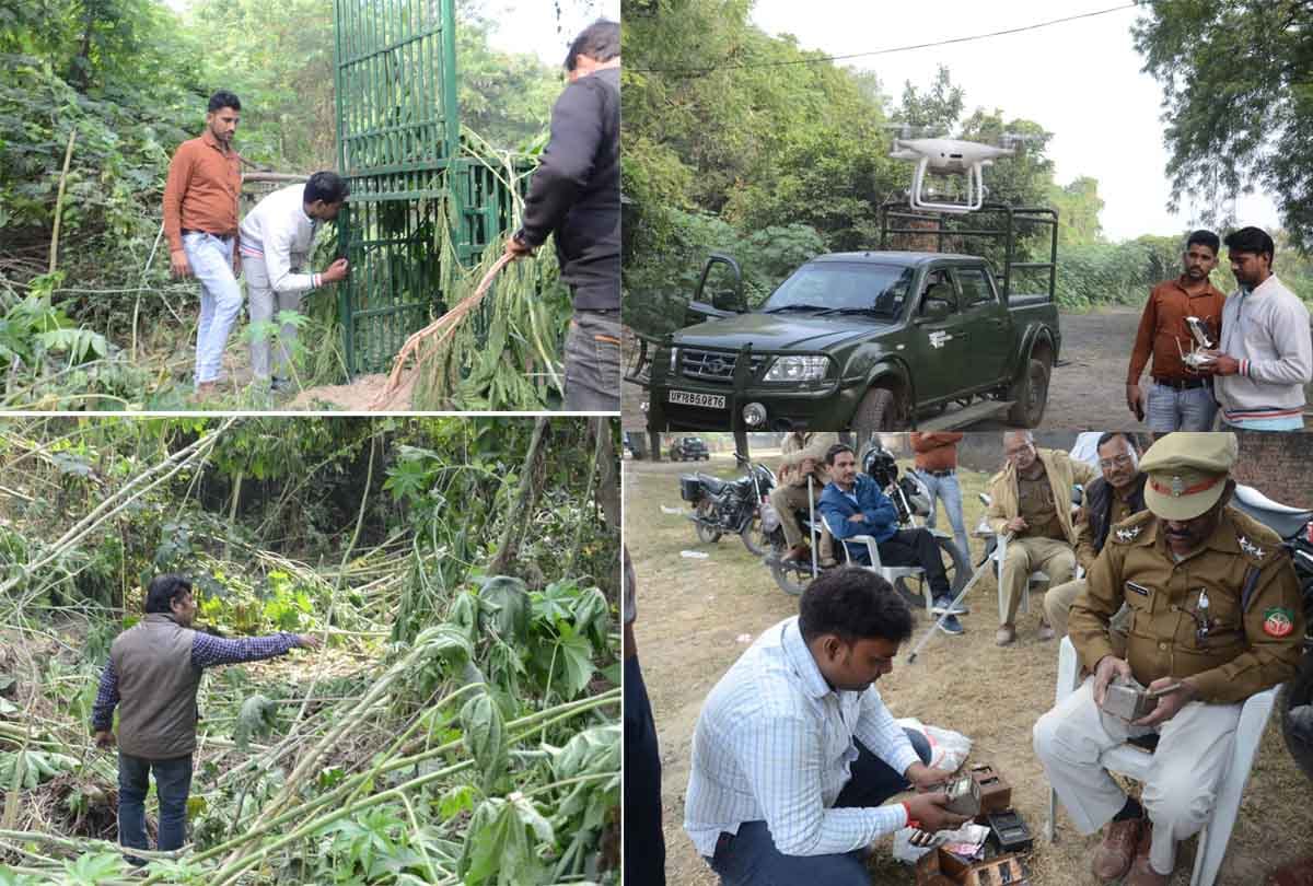 Leopard in college: Search will be done with ten night vision cameras, looking for a way to return from Ganga barrage