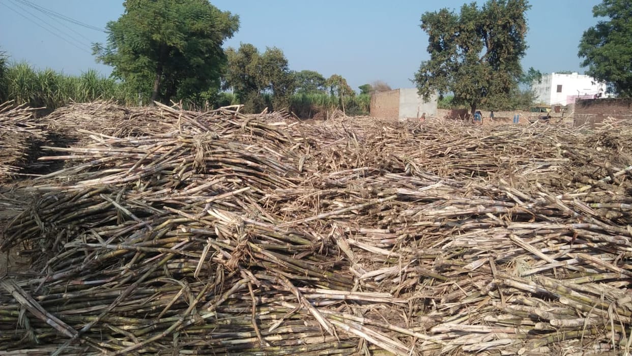 Problems of sugarcane farmers are not getting reduced