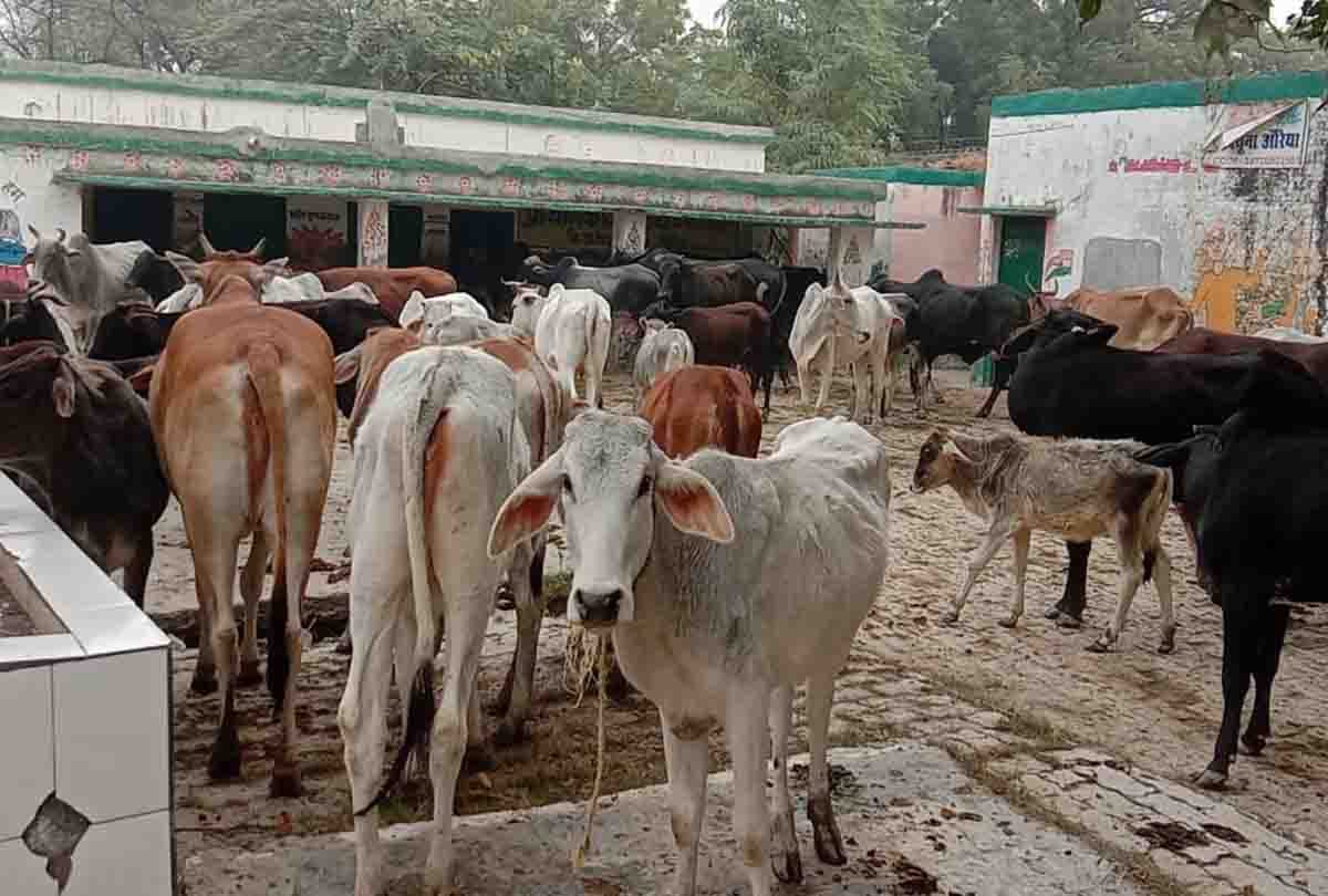 Villagers, upset due to crop failure, stopped Anna cattle in school