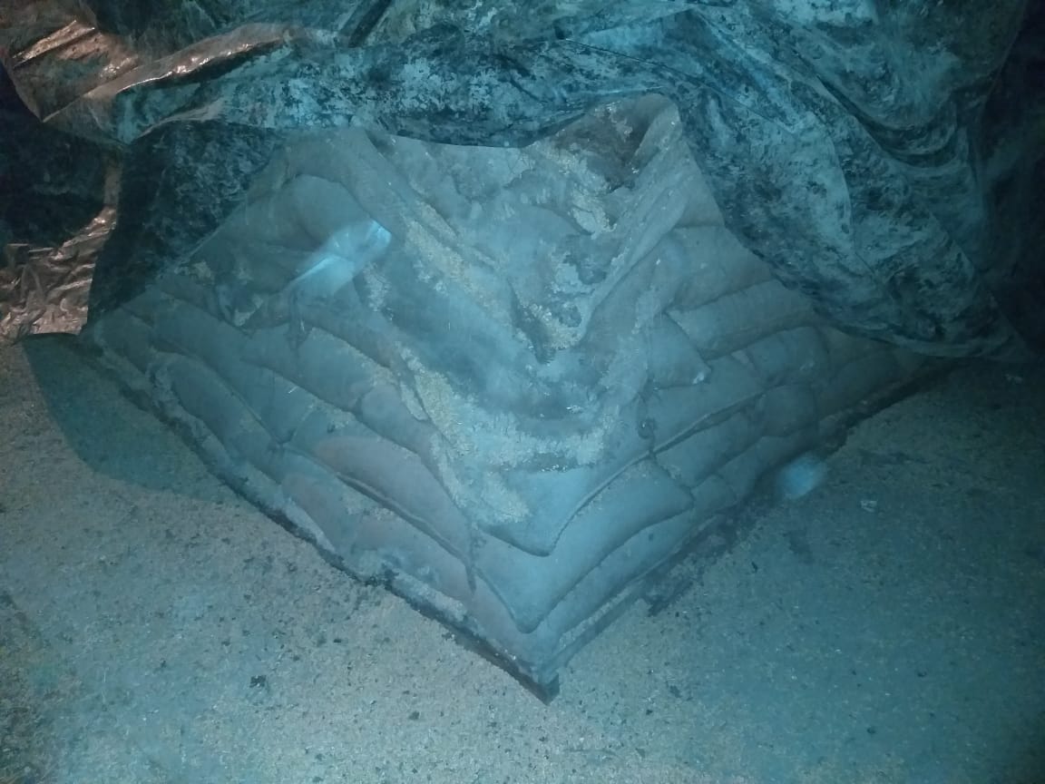 Wheat worth crores of rupees rotten due to lack of maintenance in mandis, Yamunanagar