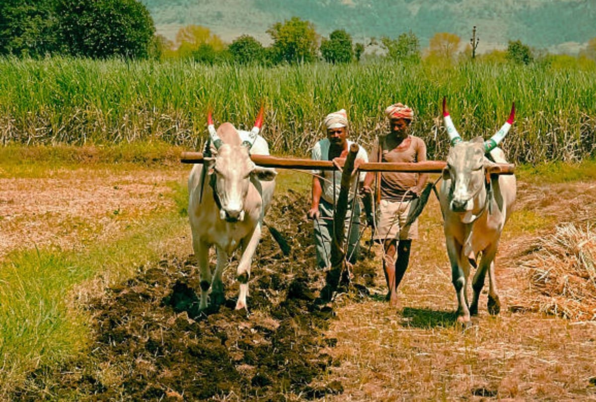 Krishi Vikas Yojana Farmers can increase their income through organic Farming know the details about this scheme