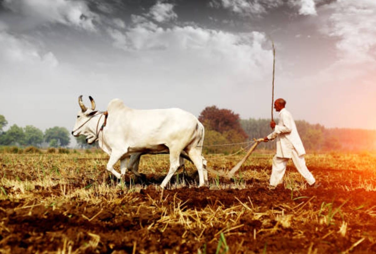 Krishi Vikas Yojana Farmers can increase their income through organic Farming know the details about this scheme