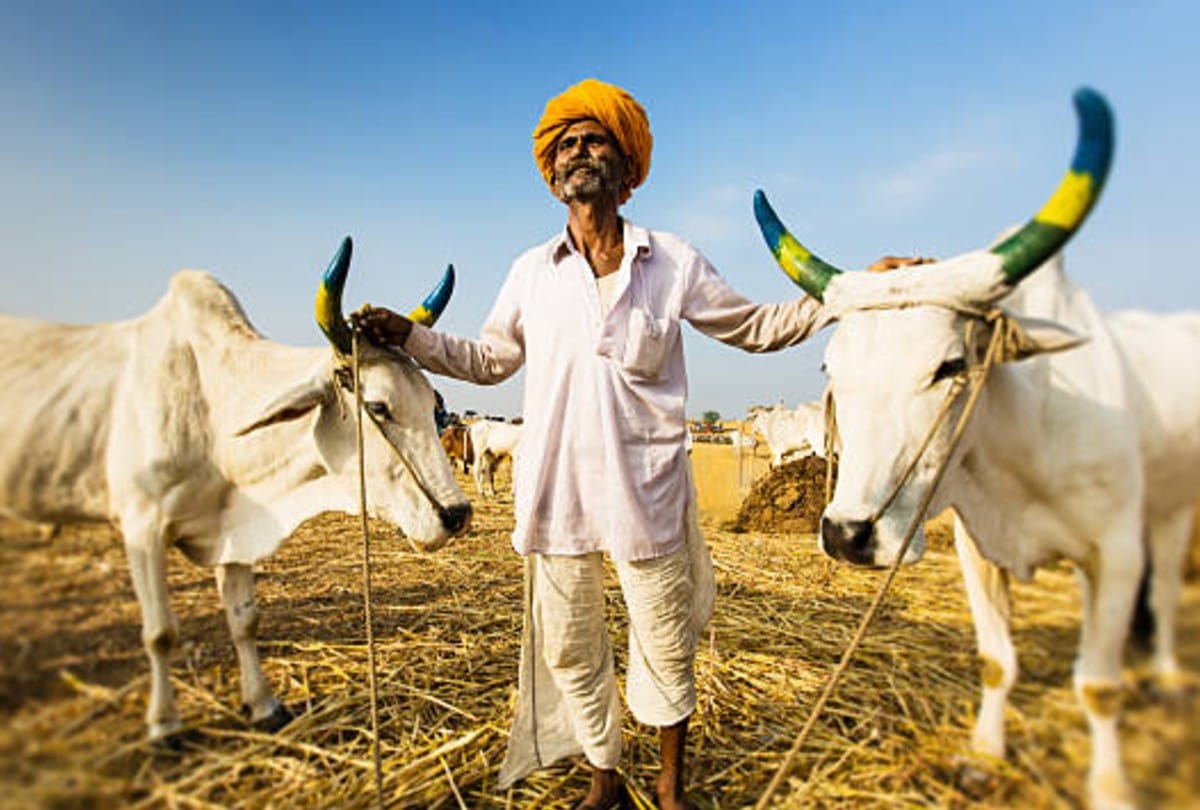 Pashudhan Bima Yojana you can get insurance cover after accidental death of pet animal
