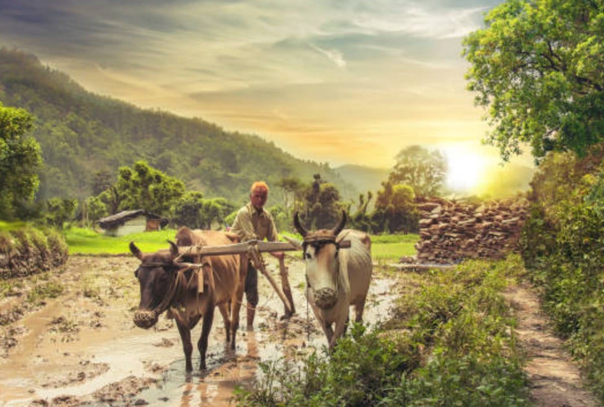PM kisan samam Yojana government provide subsidy on farming equipment know full details about this Scheme