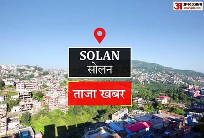 Dengue patients found in Solan, Dharampur and Kumarhatti