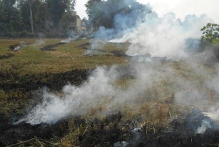 Improvement in air quality index in Bathinda and Amritsar