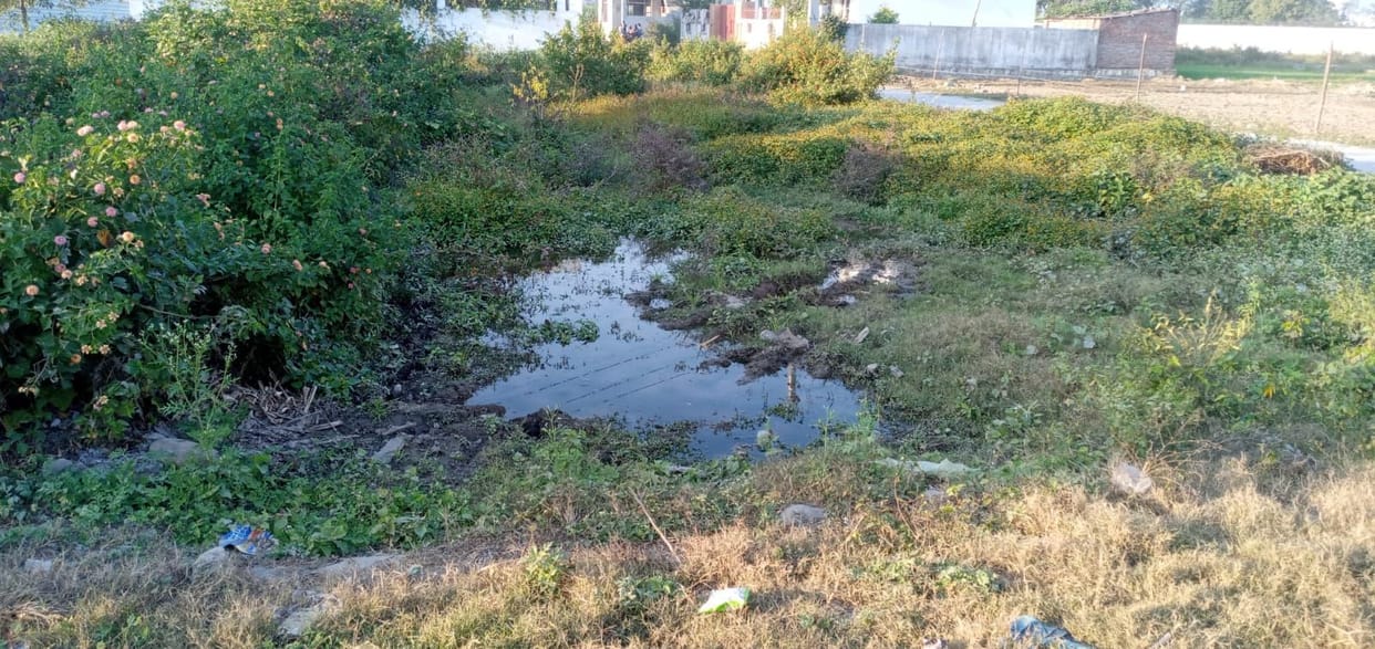 Waterlogging due to drinking water line leakage
