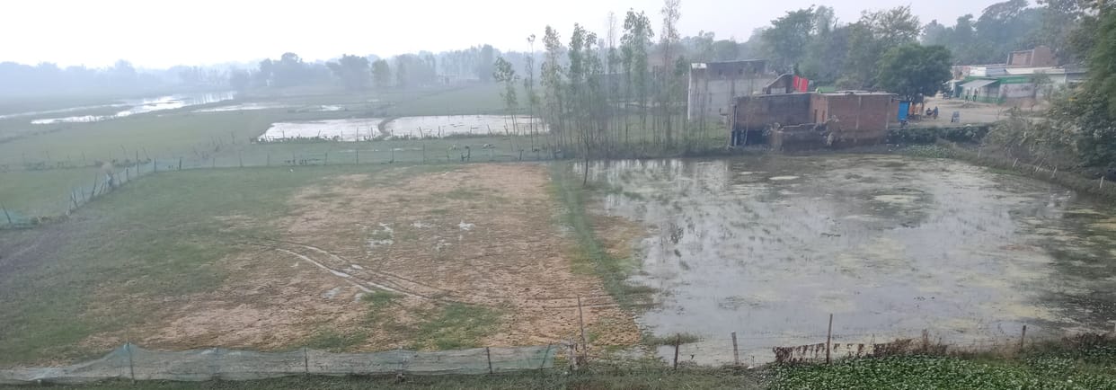 Flood water filled thousands of hectares of land, wheat sowing stopped