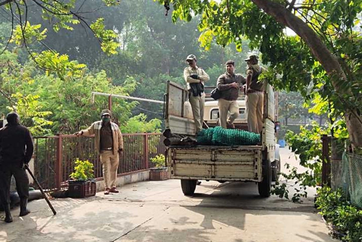 Indore: Leopard not found, but speculations are being made - it can happen only in the zoo, it is being expected on the basis of pugmark... the team engaged in the search