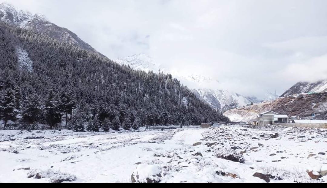 Crops got life due to rain and snowfall