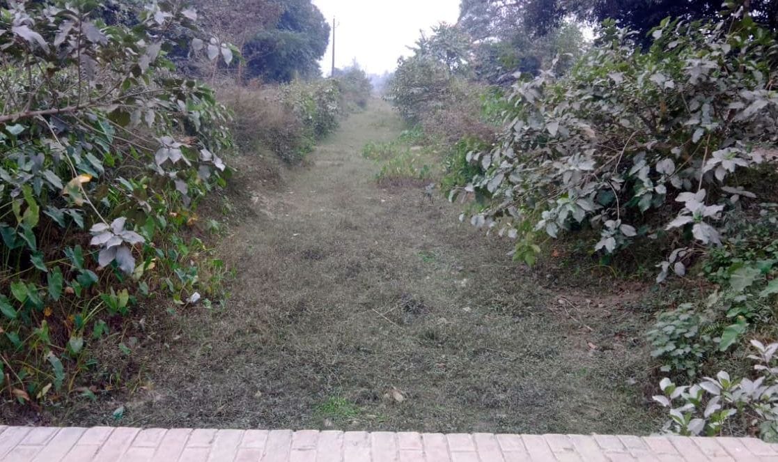 Sowing crisis due to lack of water in canals