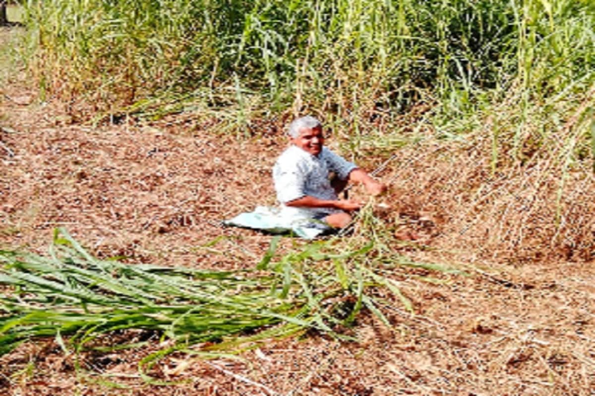 Handicapped Day 2021: Read the story of the struggle of the Divyangs of Muzaffarnagar city