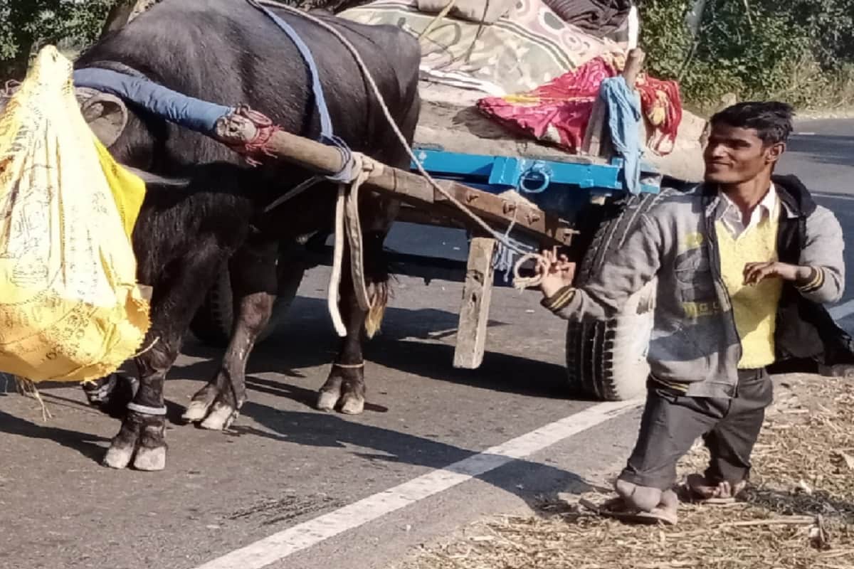 Handicapped Day 2021: Read the story of the struggle of the Divyangs of Muzaffarnagar city