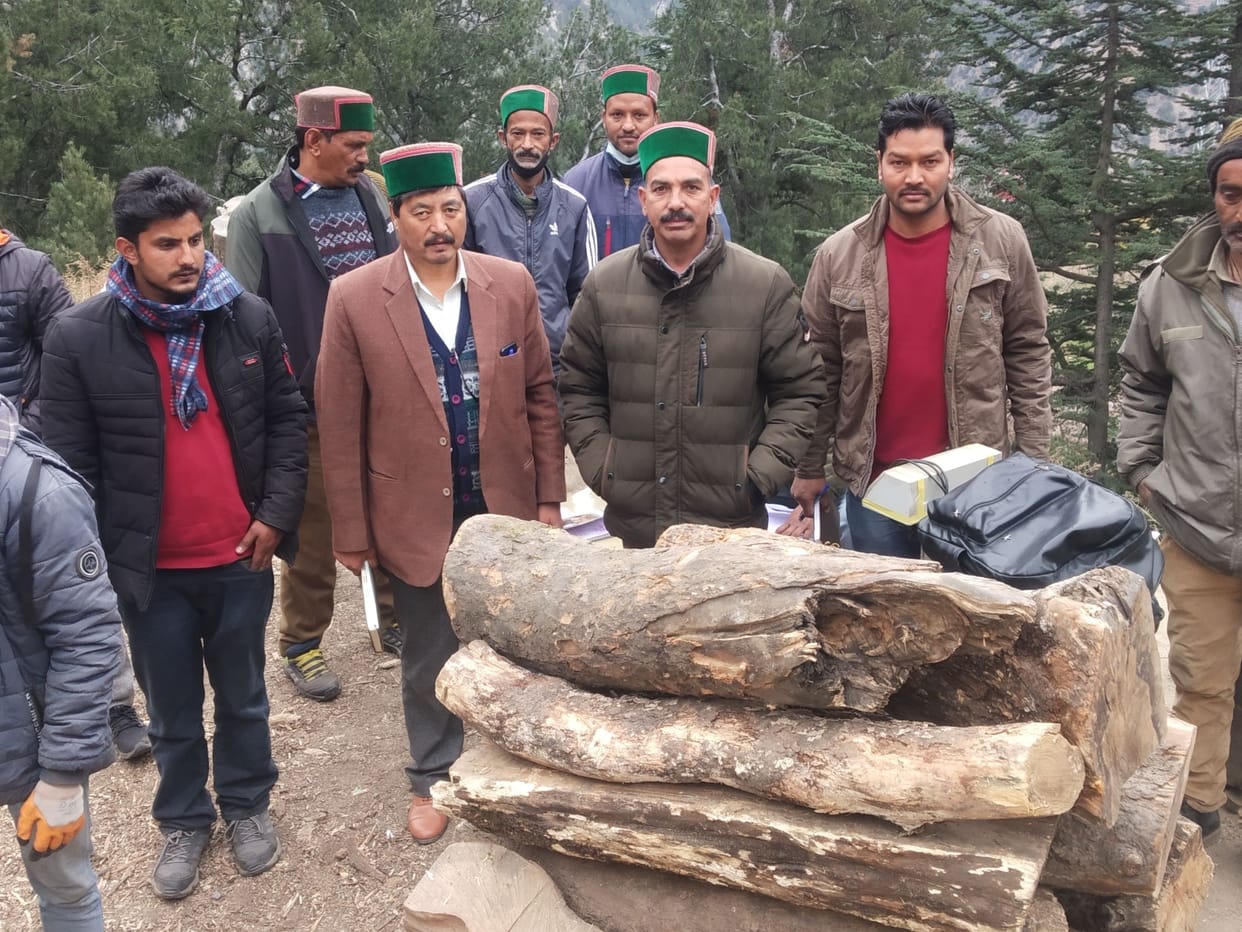 There will be no shortage of balan wood in Kinnaur district: Surat