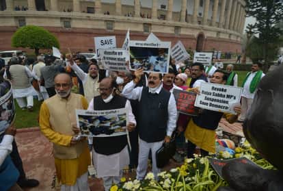 12 सांसदों के निलंबन के खिलाफ प्रदर्शन करते विपक्षी सांसद