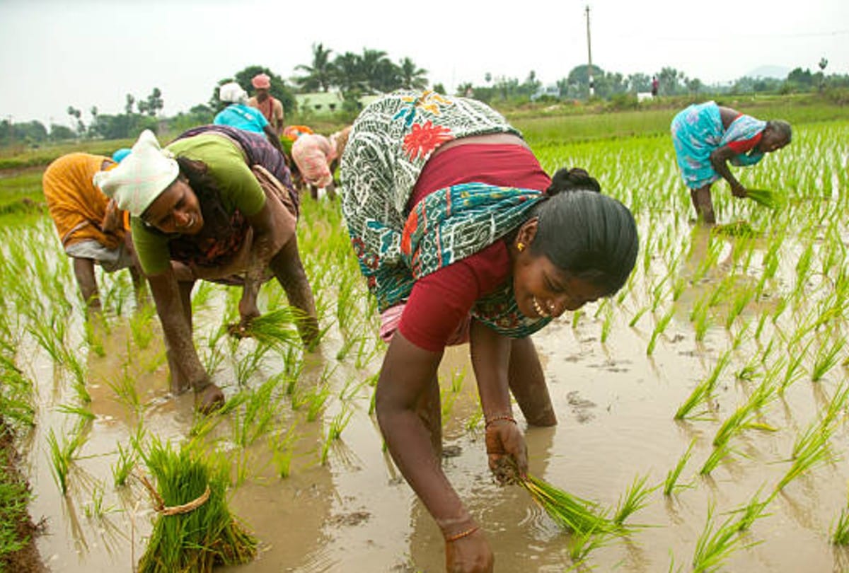 Pradhanmantri Krishi Sinchai Yojana know all important details about this scheme