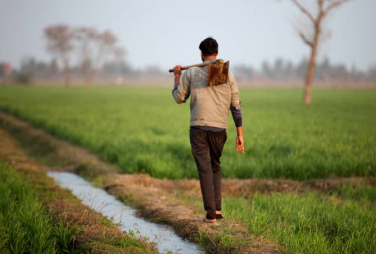 Pradhanmantri Krishi Sinchai Yojana know all important details about this scheme