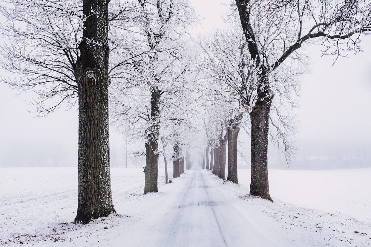 New Year 2023 Celebration Ideas Know Snowfall Destinations To Visit In India