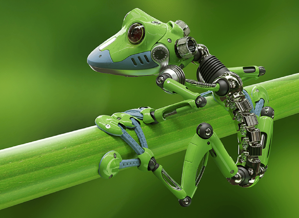 United states: now living robots have come into existence, made from stem cells of African frog